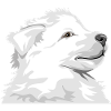 Chiot blanc