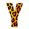 Leopard Y Letter Print