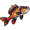 Perch Cartoon Fish