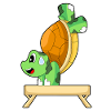 Turtle Workout Gymnastics Fitness