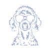 White Poodle