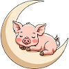 Moon Sleep Piggy