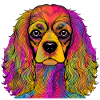 Cavalier King Charles Spaniel