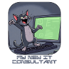 IT-Katze am Computer