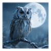 Schnee-Eule Vollmond Magische Winternacht