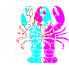 Spiny lobster, seafood, lobster, lobster