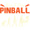 Born To Play Pinball Evolution