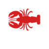 Spiny lobster, seafood, lobster, lobster