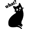 Funny Black Cat What