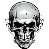 Skull Graphic Black & White