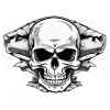 Skull through rock face