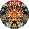 Wasserwesen Korallen Mandala