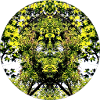Tree Nature Creature