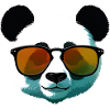 Panda with Sunglasses Gradient
