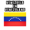 Venezuela Flag Arc of Stars