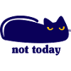 Cat Not Today Lazy Saying