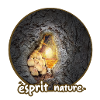 Nature Mushroom