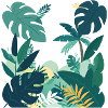 jungle nature forest leaves landscape