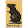 Rat Rat