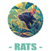 Rat Rat
