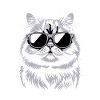 Chat persan