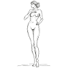 Elegant Nude Drawing Female Silhouette