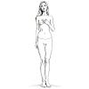 Elegant Nude Drawing Female Silhouette