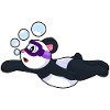 Lunettes de natation Panda Été