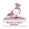 Main Character Energy Dove Delulu