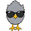Chill chicks with sunglasses
