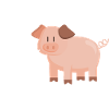 Pig Oink