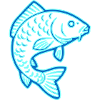 Neon Carp Fish Bright Fishing