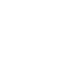 Geometric Skull Stitches Dotwork