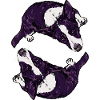 Corgis
