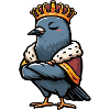 Pigeon pigeons pigeon fancier pigeon fancier