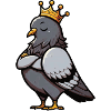 pigeons pigeons colombiers pigeonneurs