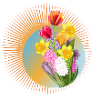 Radiant spring bouquet with tulips & daffodils