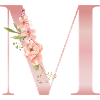 M pastellrosa Blumen