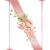 Lettrine N Florale Rose Doux