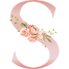 S Pastel Floral on Garment