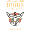 Regardez les oiseaux du ciel