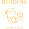 Birding is My Meditation