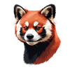 Roter Panda Kopf – Digitale Malerei