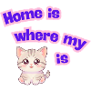 Home is where my cat is