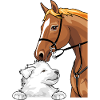 Weißer Schweizer Schäferhund und rotes Pferd