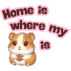 Home is where my Meerli is