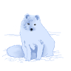 Arctic fox in the snow