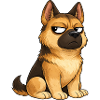 Cool Dog German Shepherd Skeptical