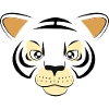 Cool Tiger Face Graphic Big Cat Wildlife Art
