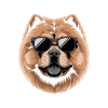 Chow Chow